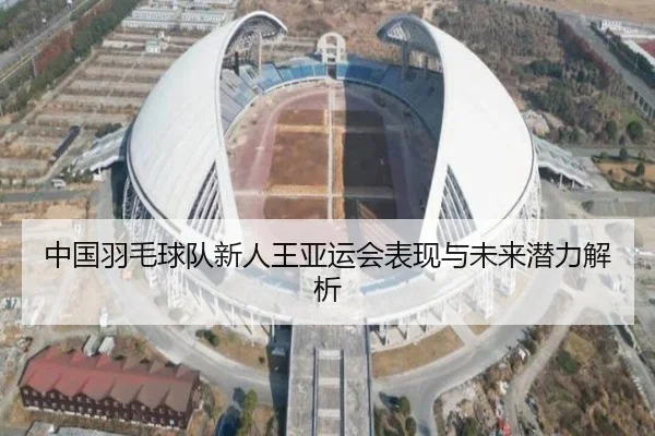中国羽毛球队新人王亚运会表现与未来潜力解析